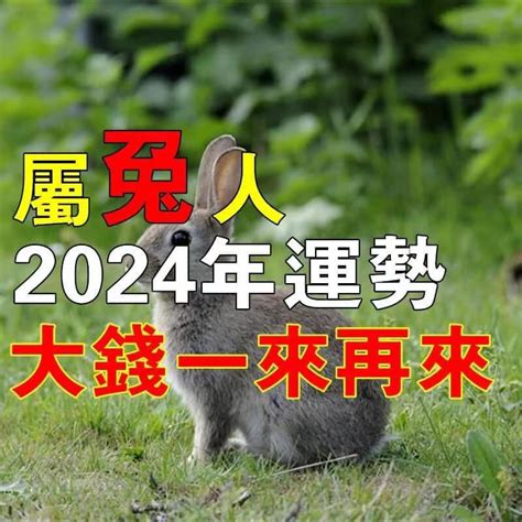 2024屬兔的運勢|屬兔2024運勢丨屬兔增運顏色、開運飾物、犯太歲化解、年份